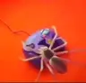 Abbadon1224's Avatar